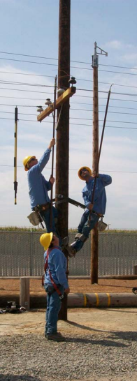 Tying off wire are Apprentices Jimmy Martin, left, and Jordan Lellhame. Ben Phaa observes from the  ground. 