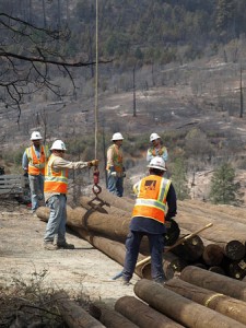 PG&E workers respond to the Rim Fire
