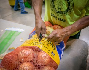 Advisory Council member Jaime Tinoco prepares to sort onions