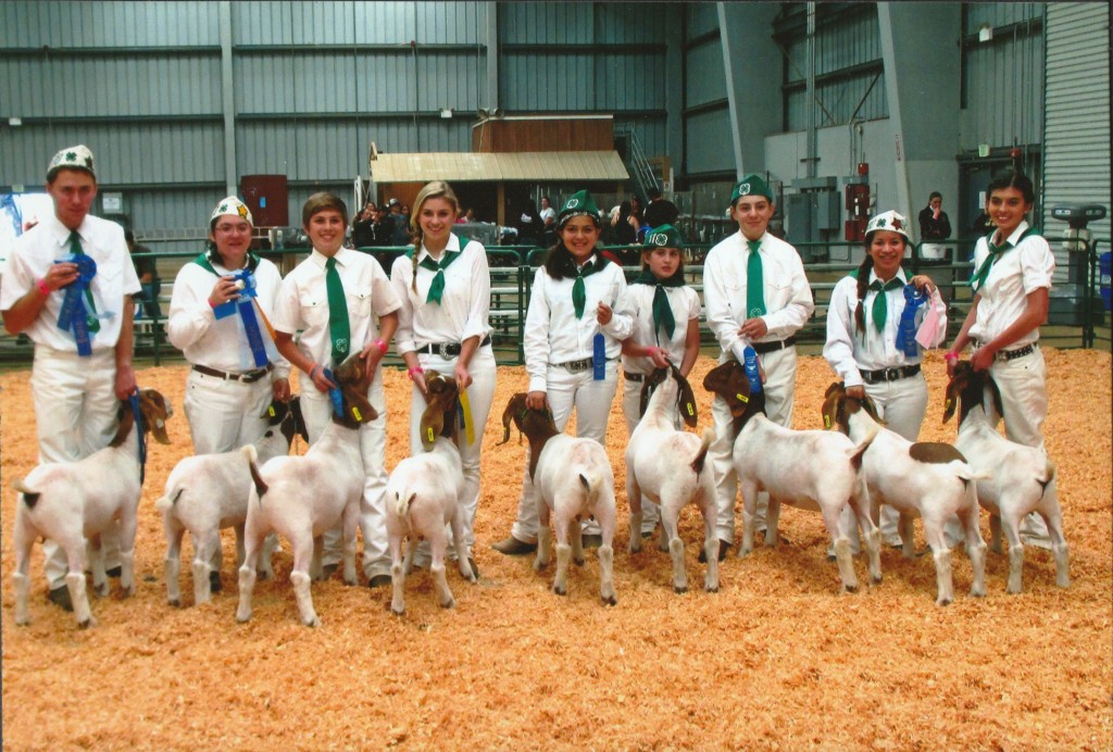 The Templeton Unit #1217 donated $250 to the Cerro Alto 4-H Goat program earlier this year. The 4-H club sent the union this photo as a thank-you. 