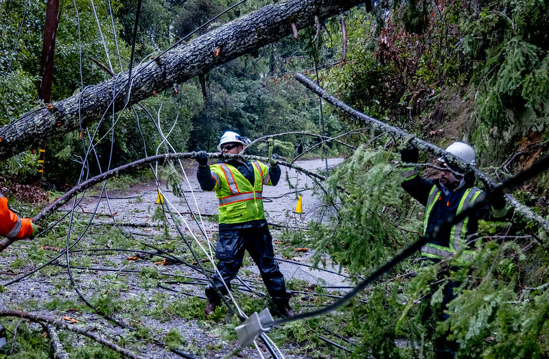 Tree trimmers from Davey Tree support storm restoration efforts in Felton